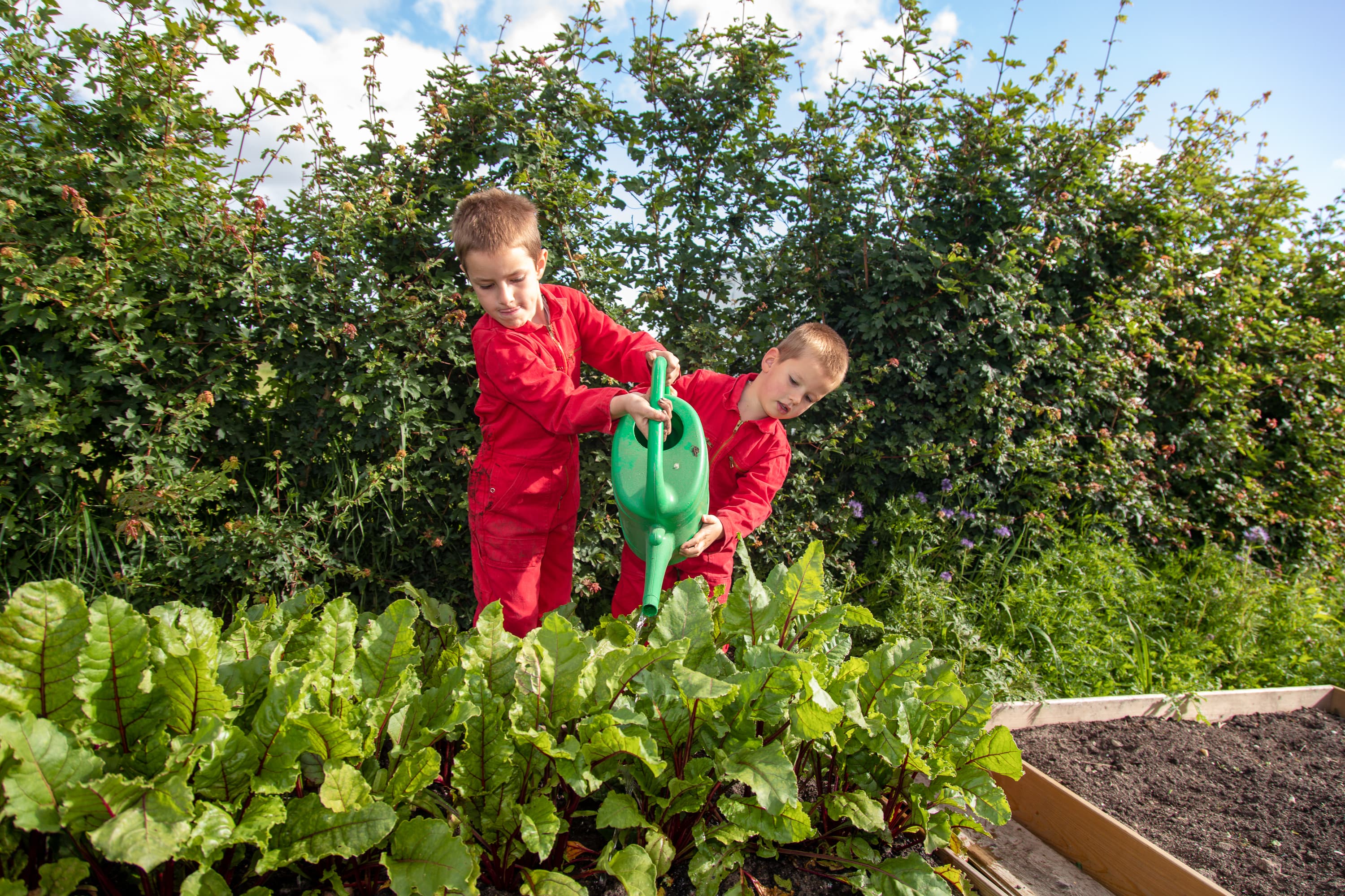 Verschillende branding foto’s die de sfeer in het logeerhuis weergeven, zodat ouders en kinderen een indruk krijgen van deze liefdevolle opvang in Bergambacht. 